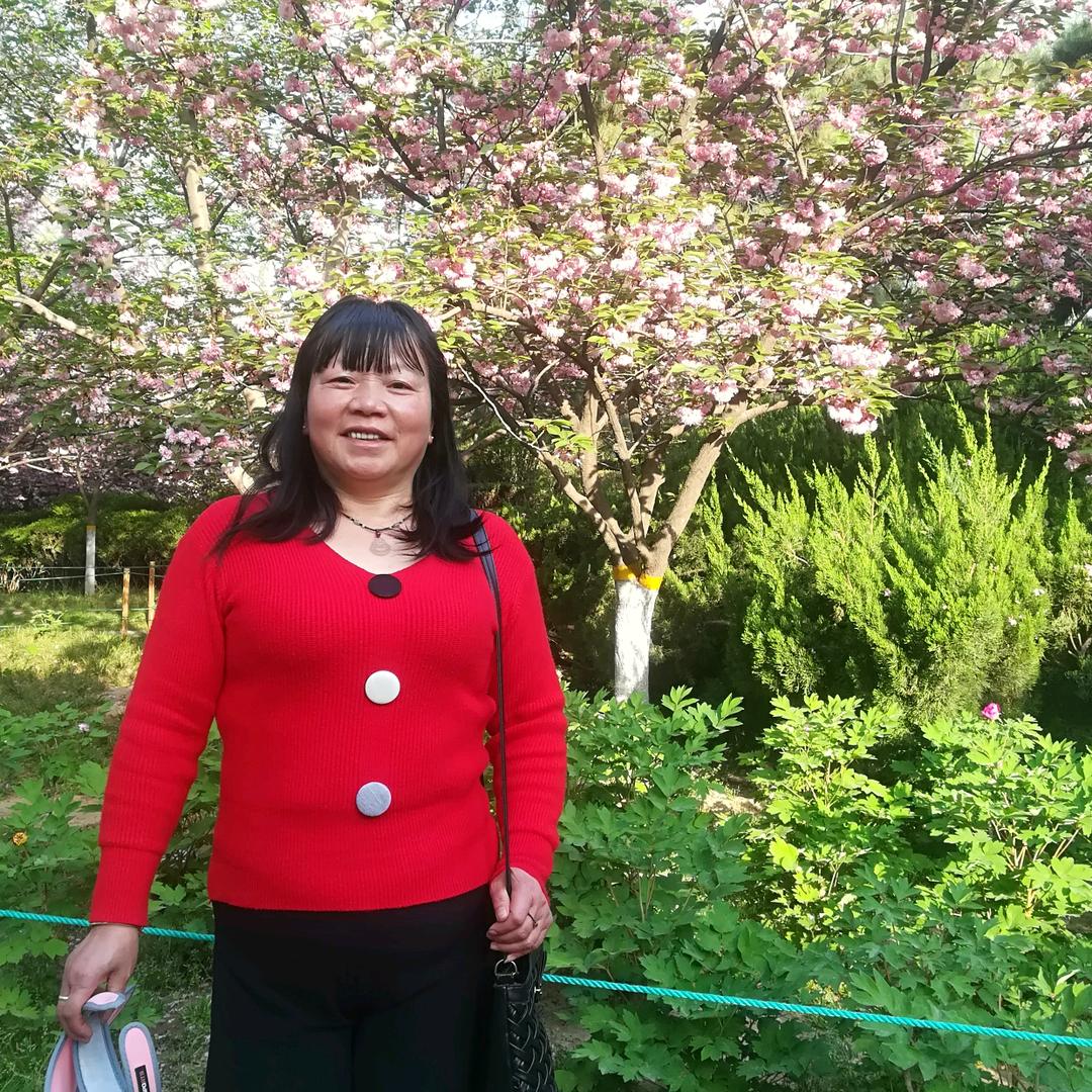 叮当奶奶👵