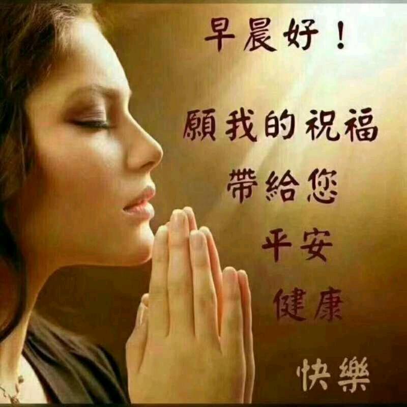 淡淡一笑