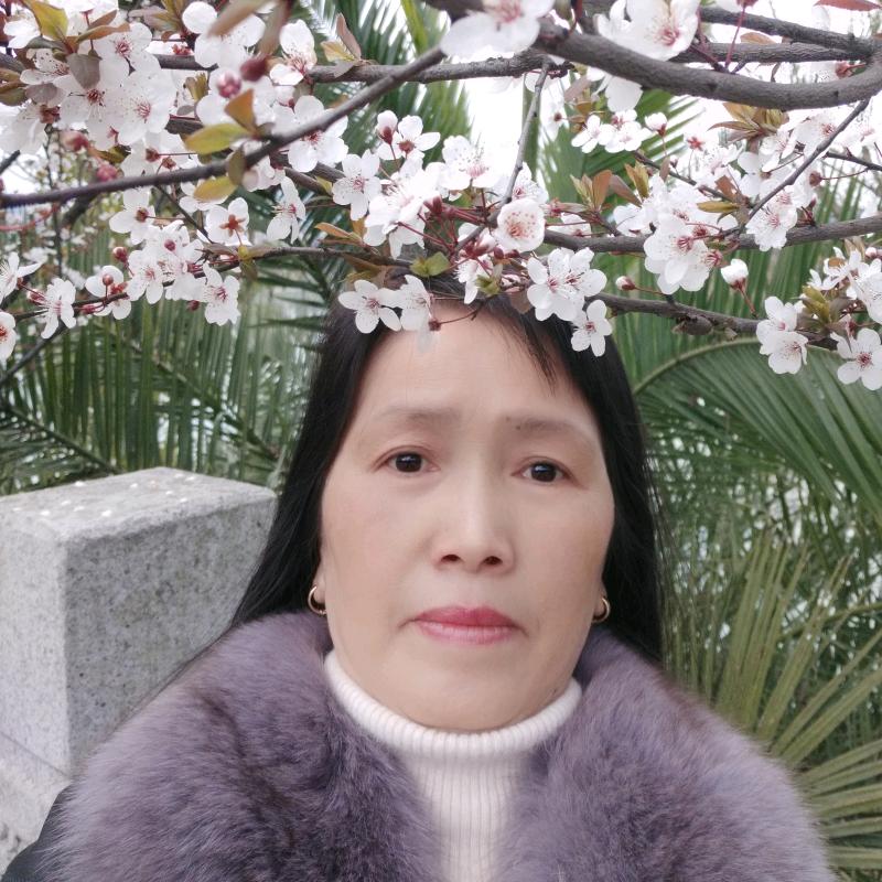 昙花