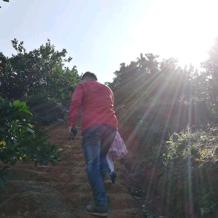 墨小蜜生态农业