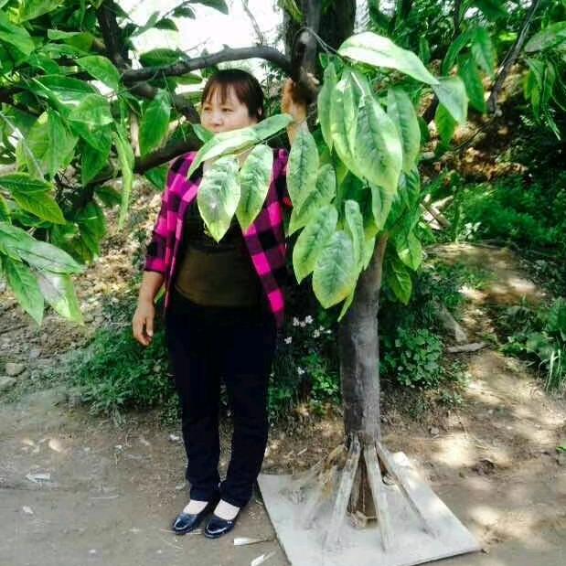 巧妹爱山歌