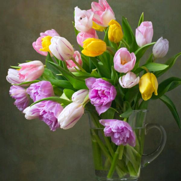 开心就ヽ(○^㉨^)ﾉ♪