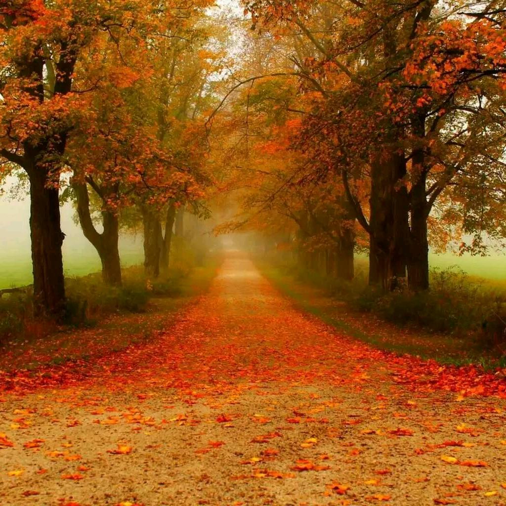 彭山国威电器廖俊