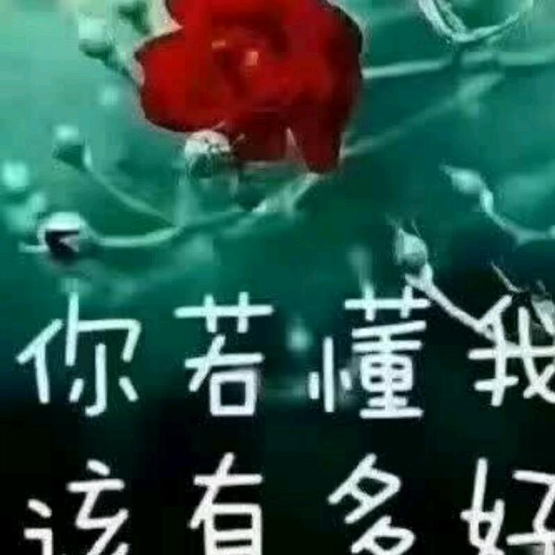 用户731608无语