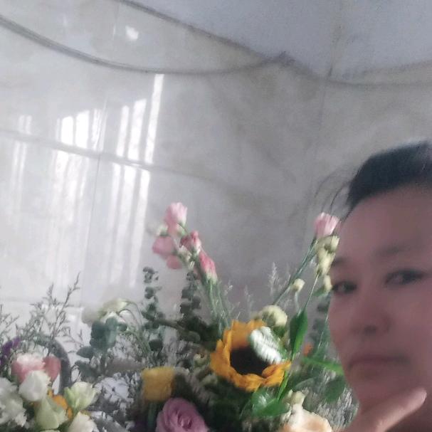 阳光小树