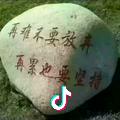 歌普葡萄按需施肥示范基地