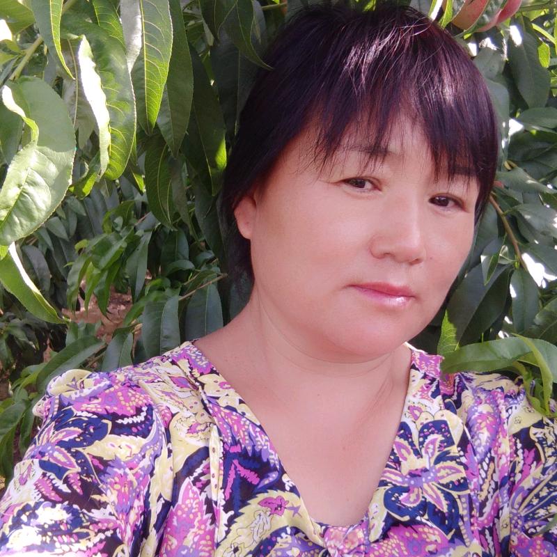 金银花