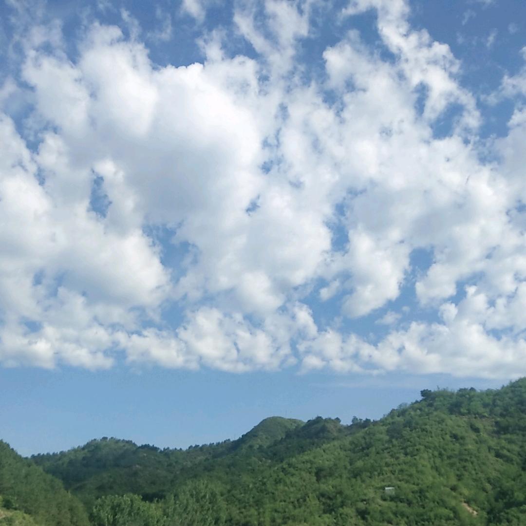 小萍