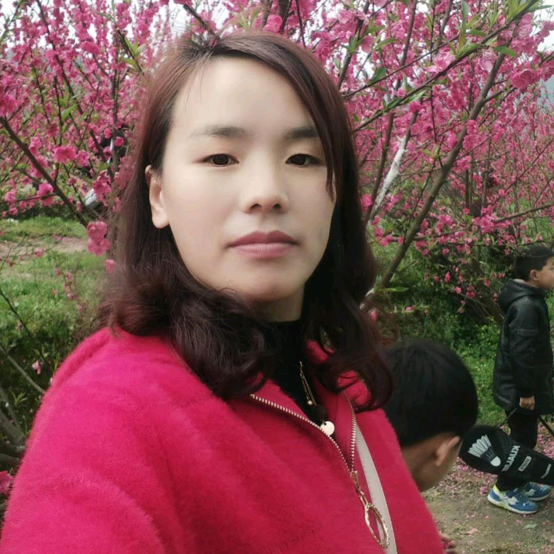 被抛弃的玫瑰