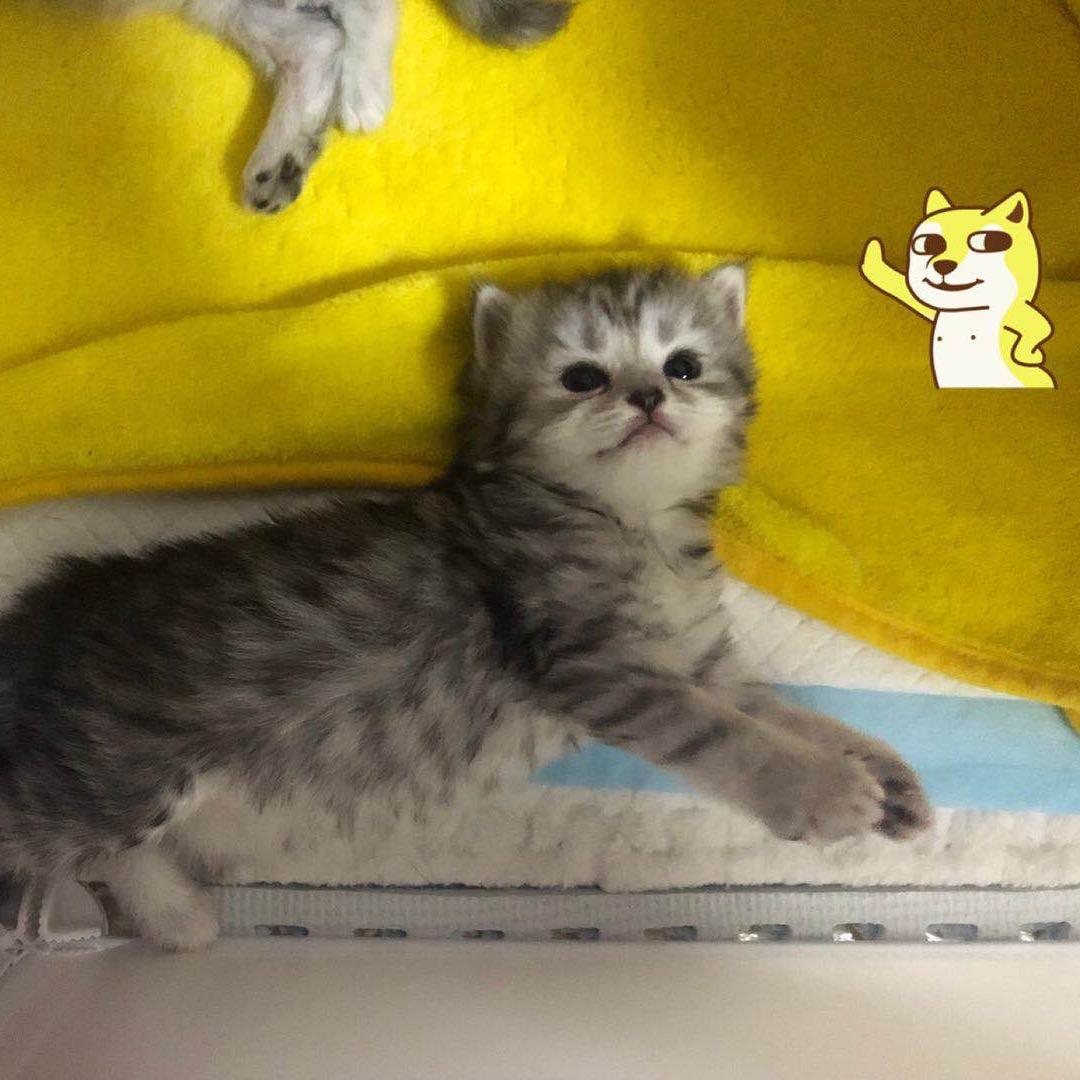 🌈妳今日食咗饭沒-