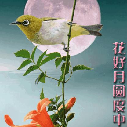 @微笑每一天