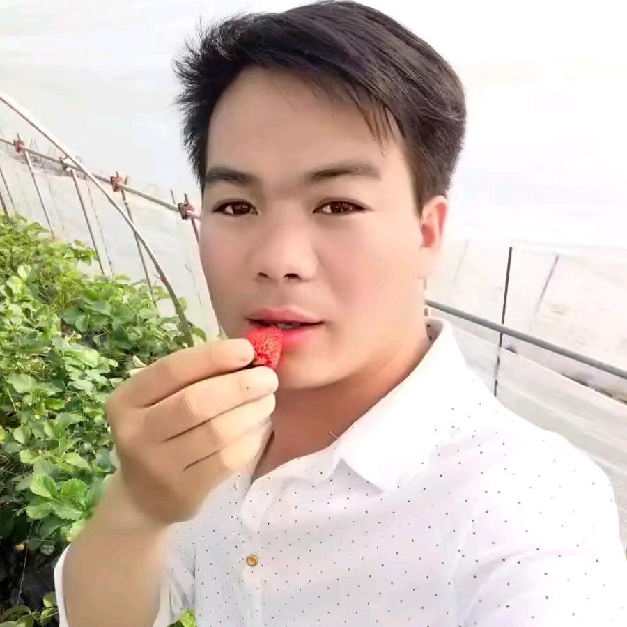 伦哥哥