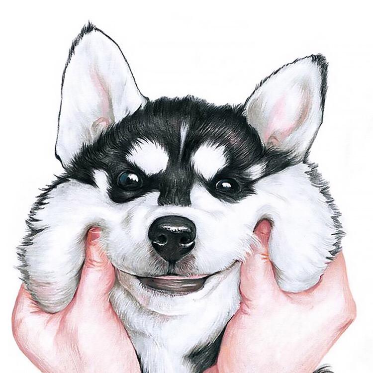 ᩚ 王哦吼೨ ᐝ