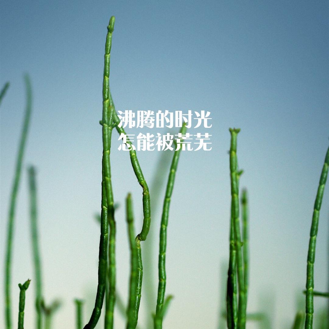 明月心
