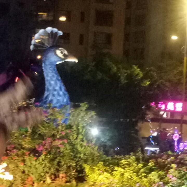 用户3604253716127