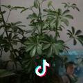 争什么争，抢什么抢。
