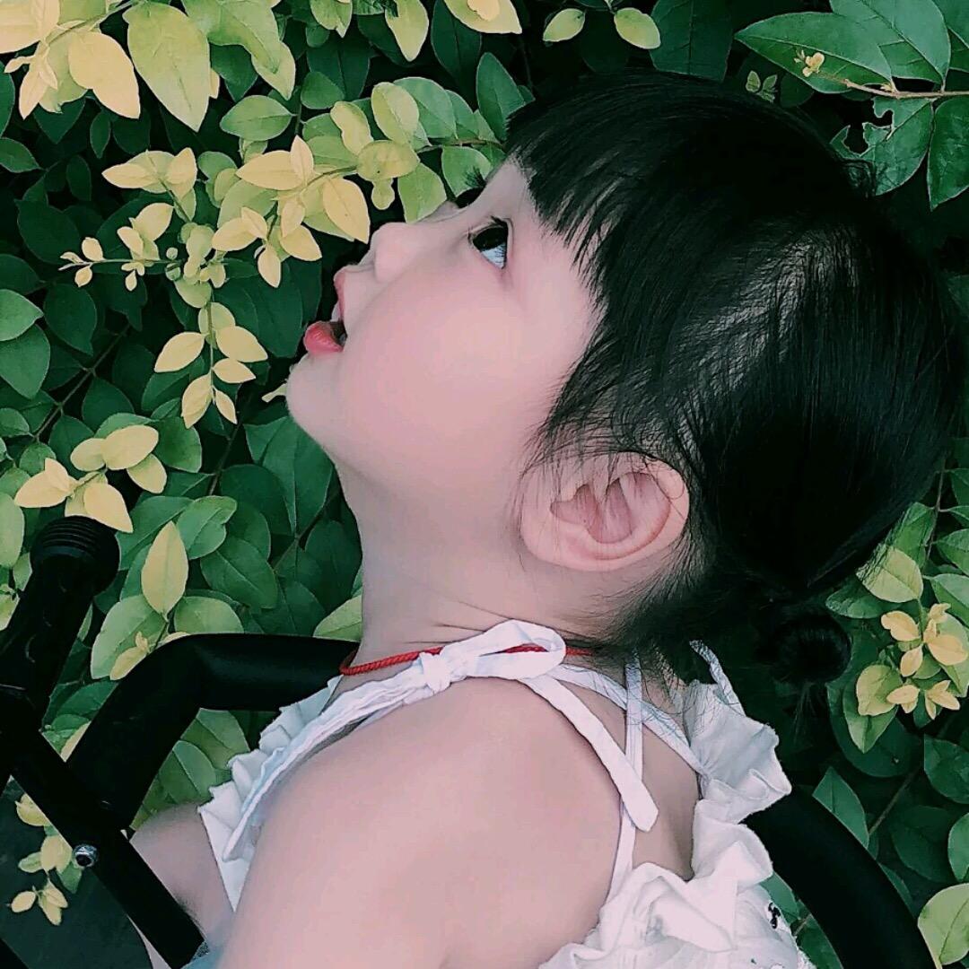 已重置