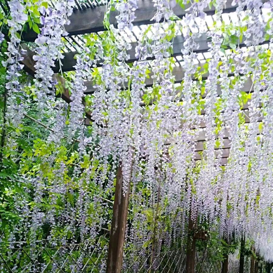 木子