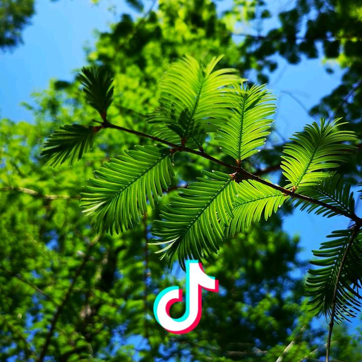 叨叨~BH4IVSจุ๊บ