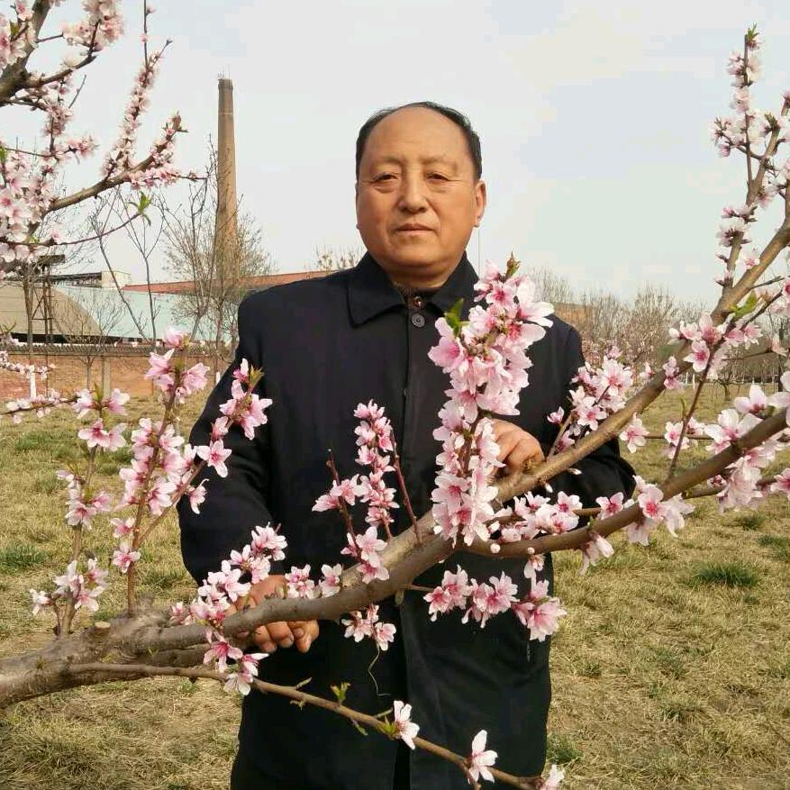老顽童