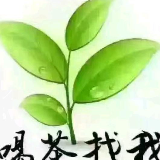 大别山🌹种茶人