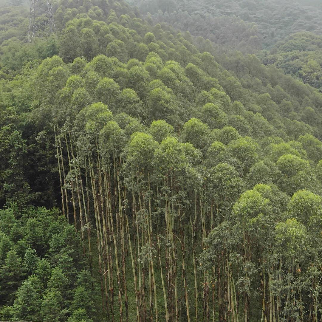 没时间的钓鱼人