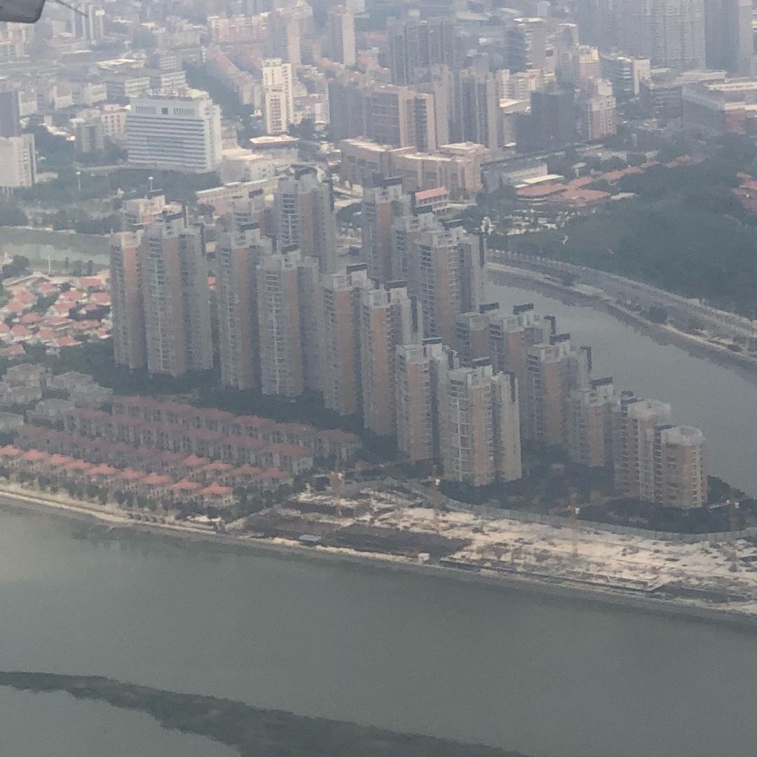 70单身苦狗