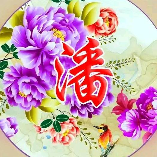 洋洋