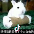 永不言败✨✨