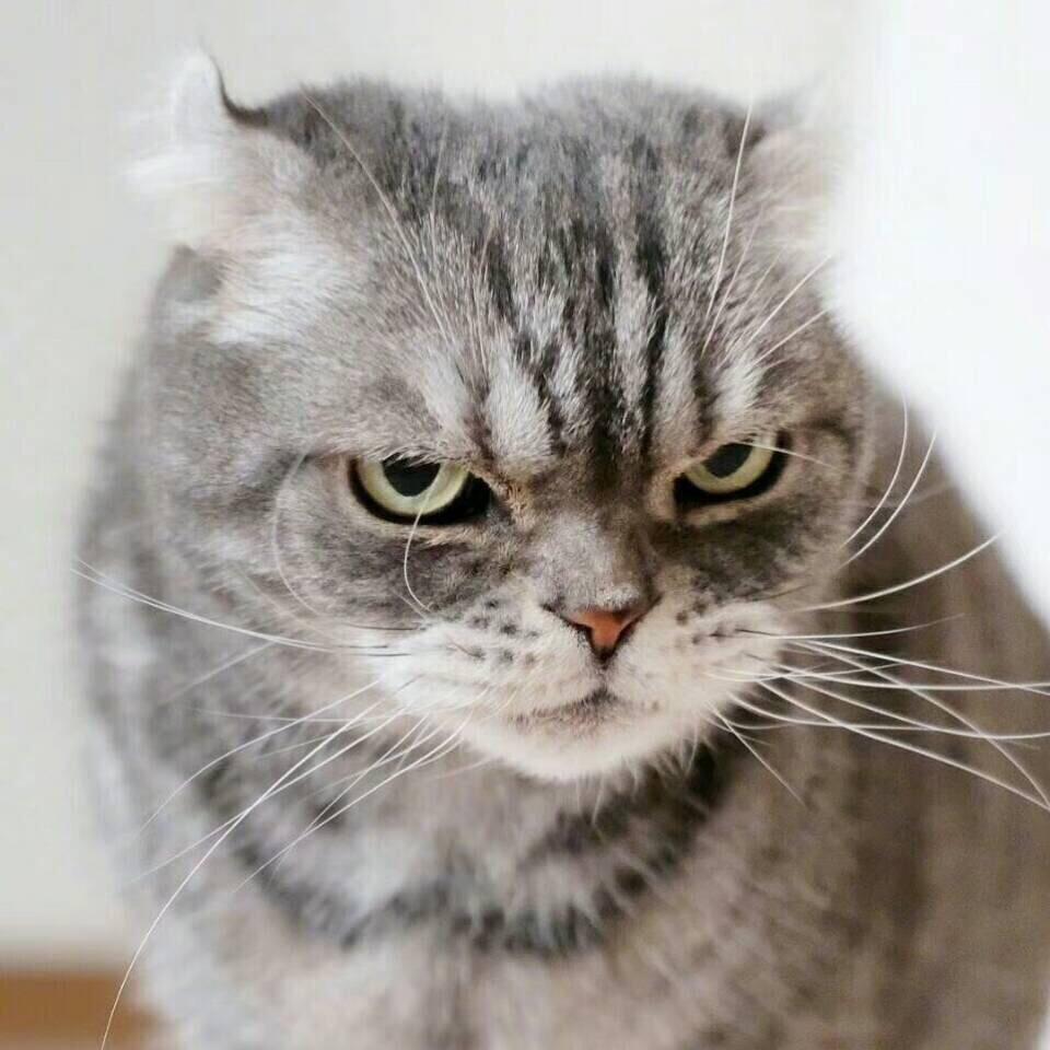 不恋网