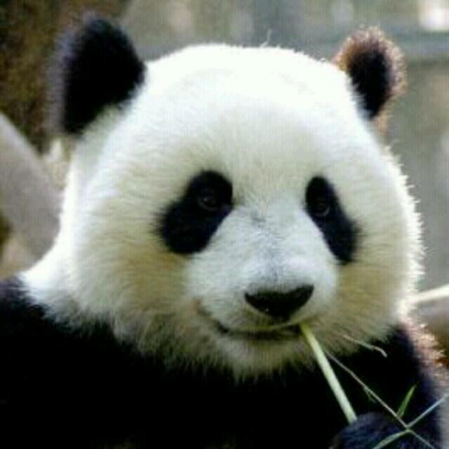 骑着蜗牛看世界
