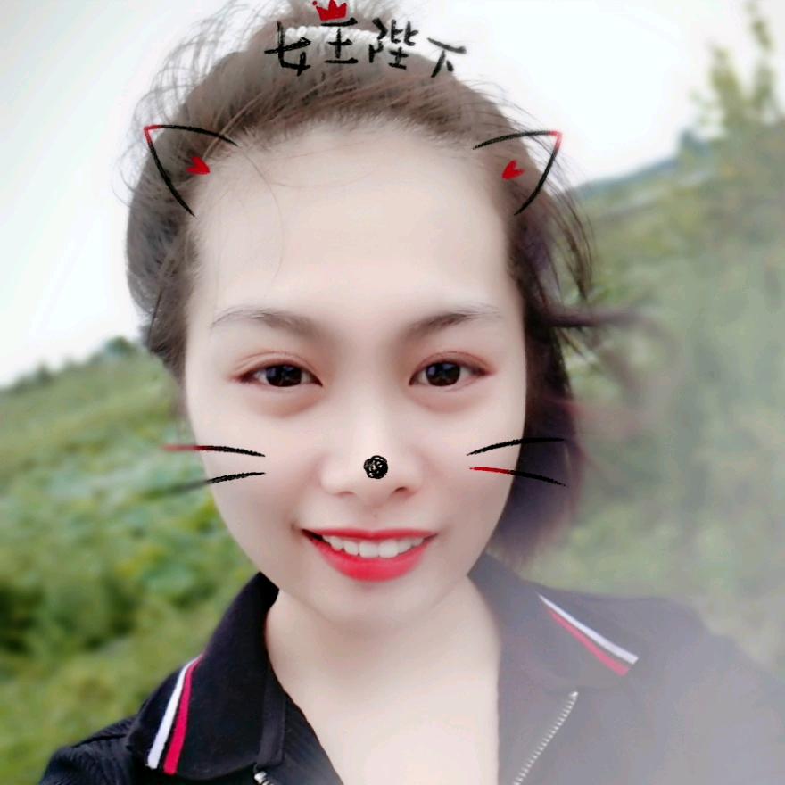 车之家汽修轮胎(现代·明珠新城店)官方号