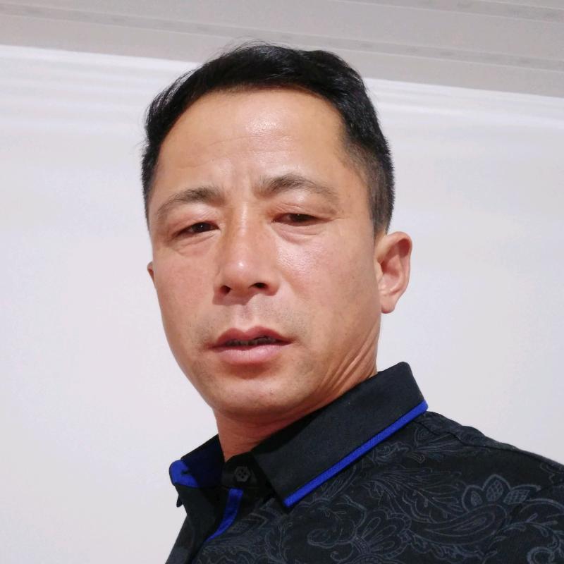 龙凤，双双