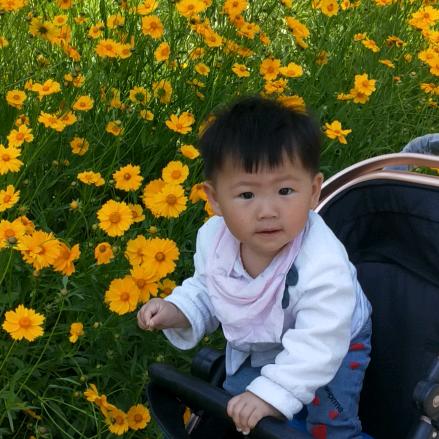 赵老二的幸福生活