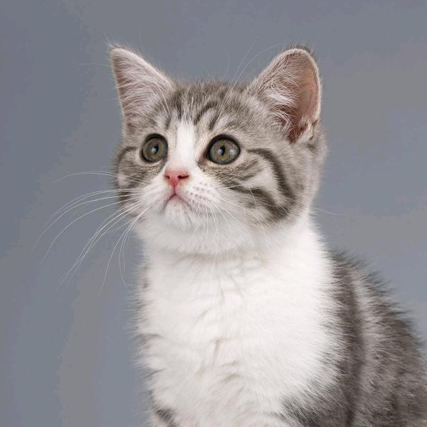 🌻🌼小青🌸🍀