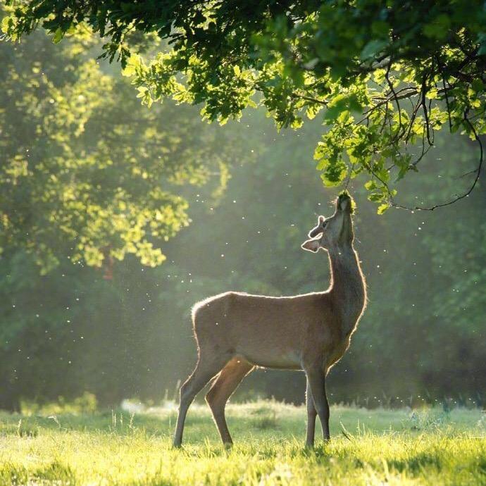 爱琴海4F北面王敏