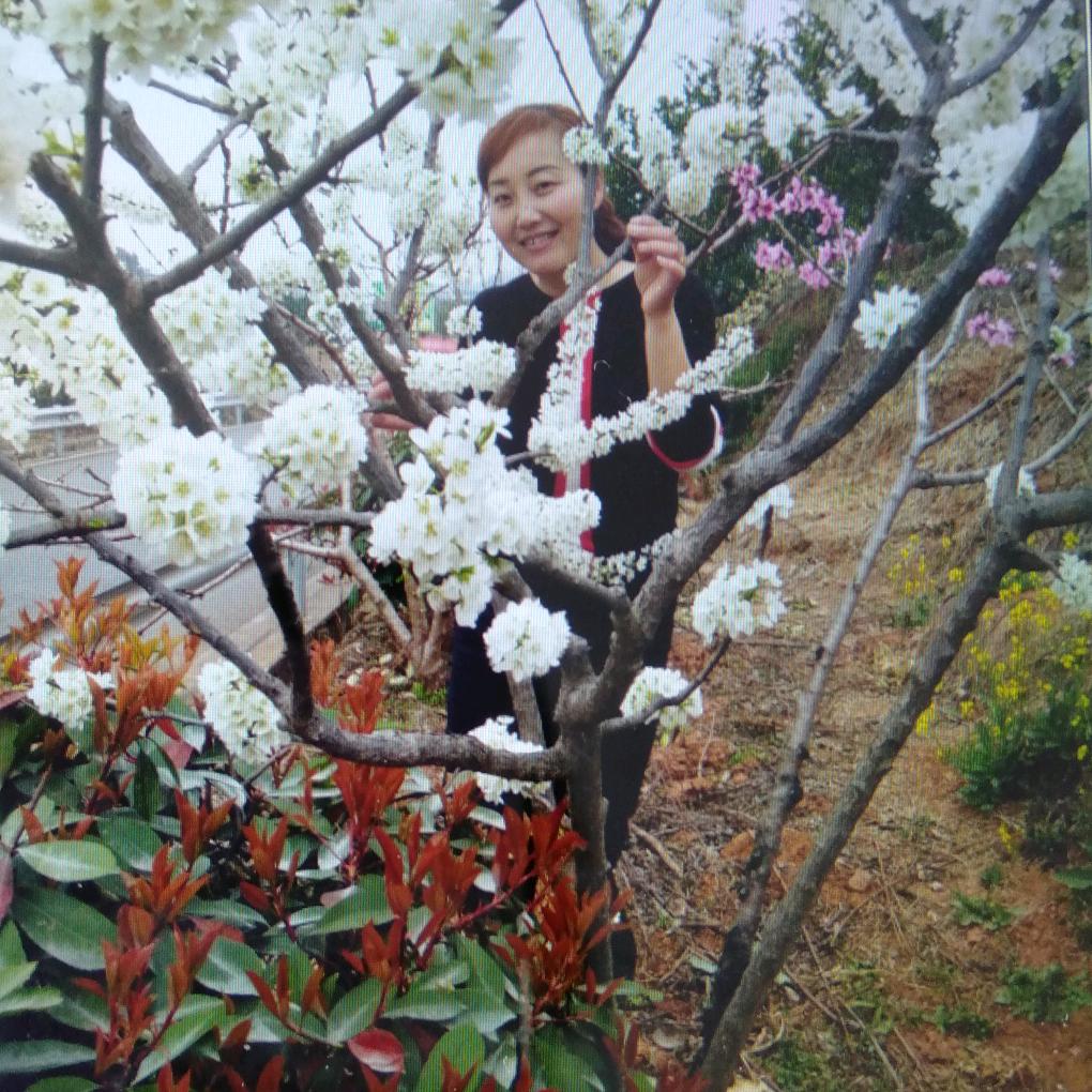 爱莎贝儿芳姐