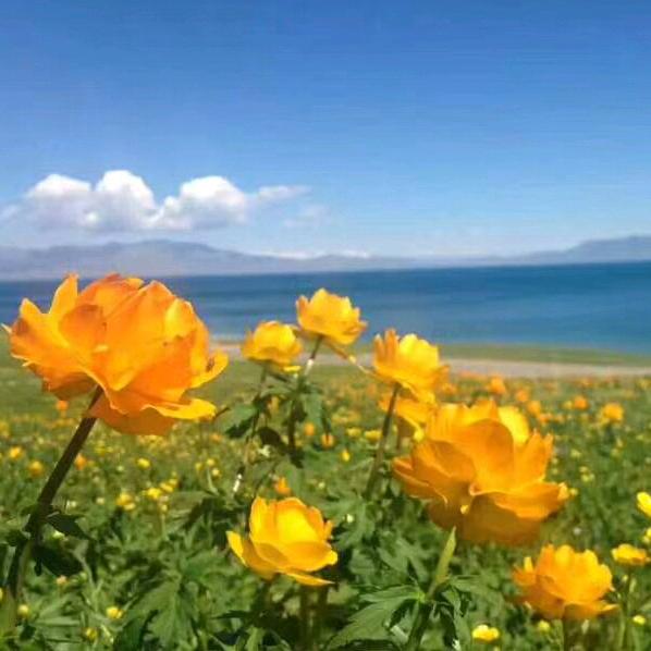 *土^_^豆～旅行记