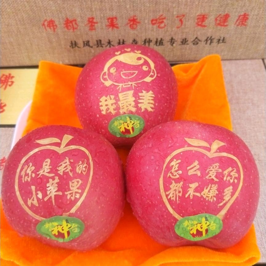 扶风县木林森种植专业合作社