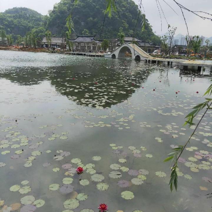 老周用户726420238623