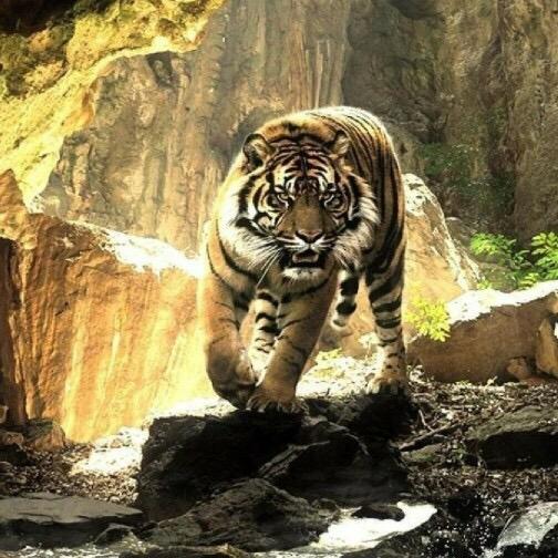 蓝色💯จุ๊บ