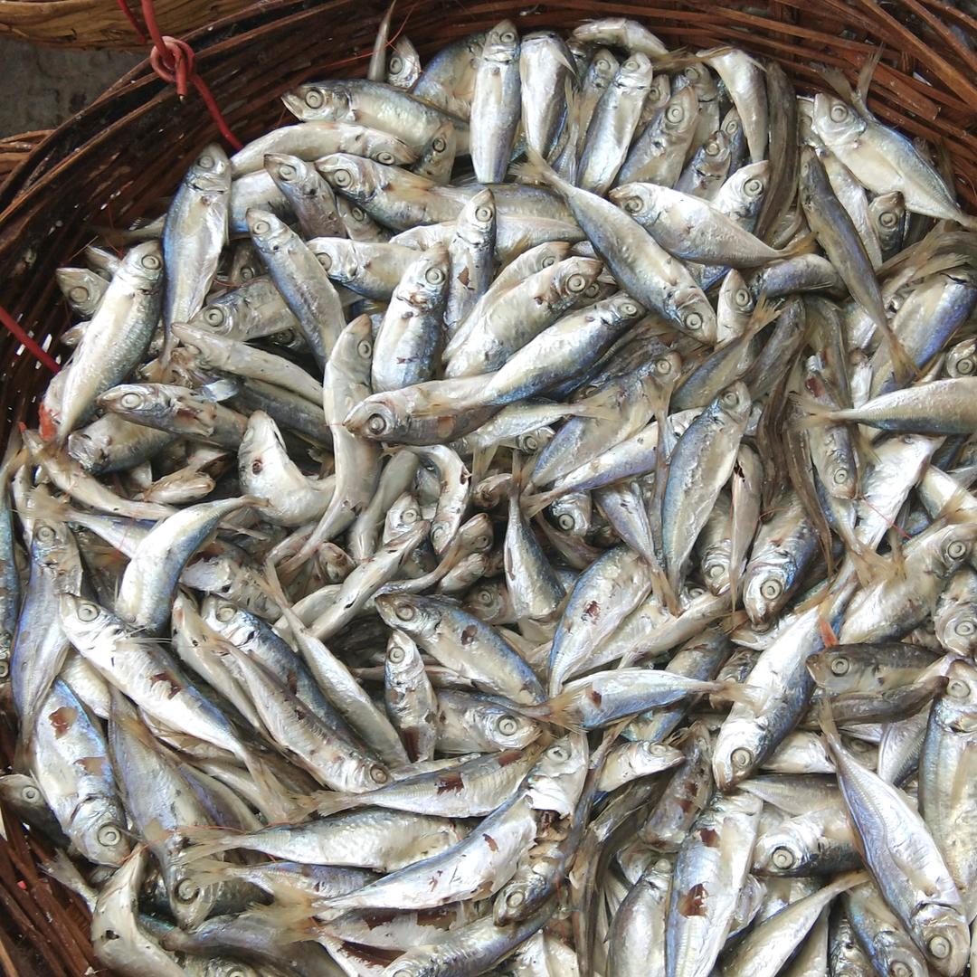 湄洲岛亚霞