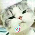 佳  