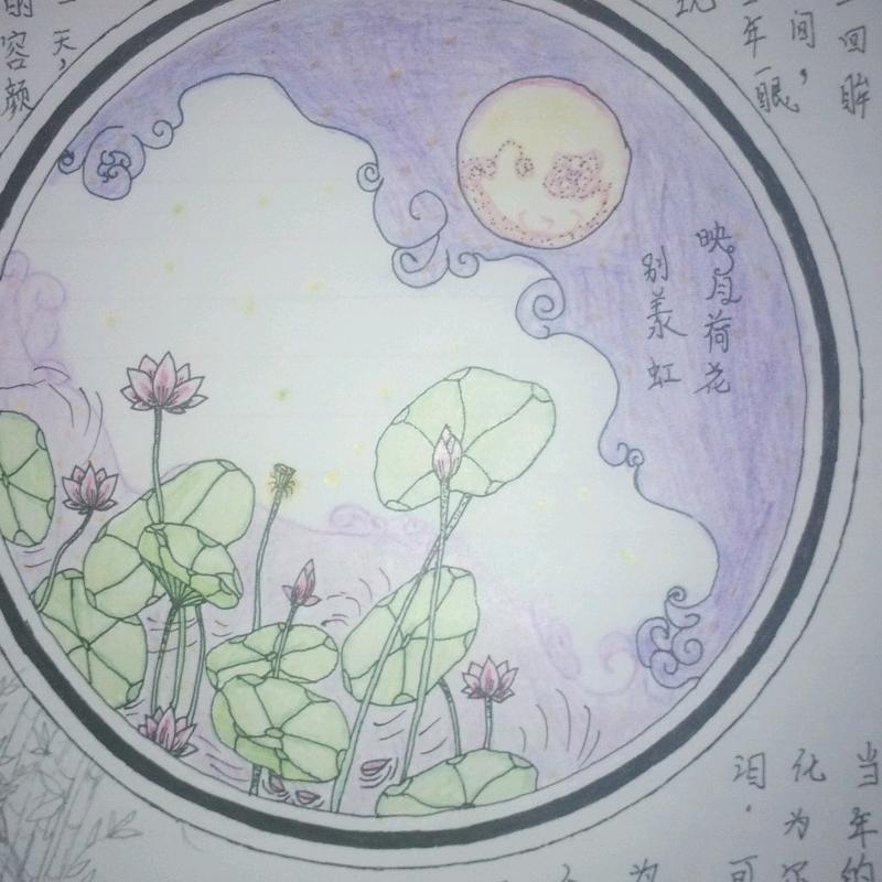 清晨的一束光