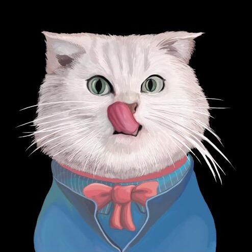 开挂猫咪秀