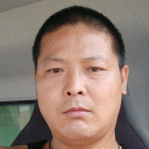 从林迷彩狼