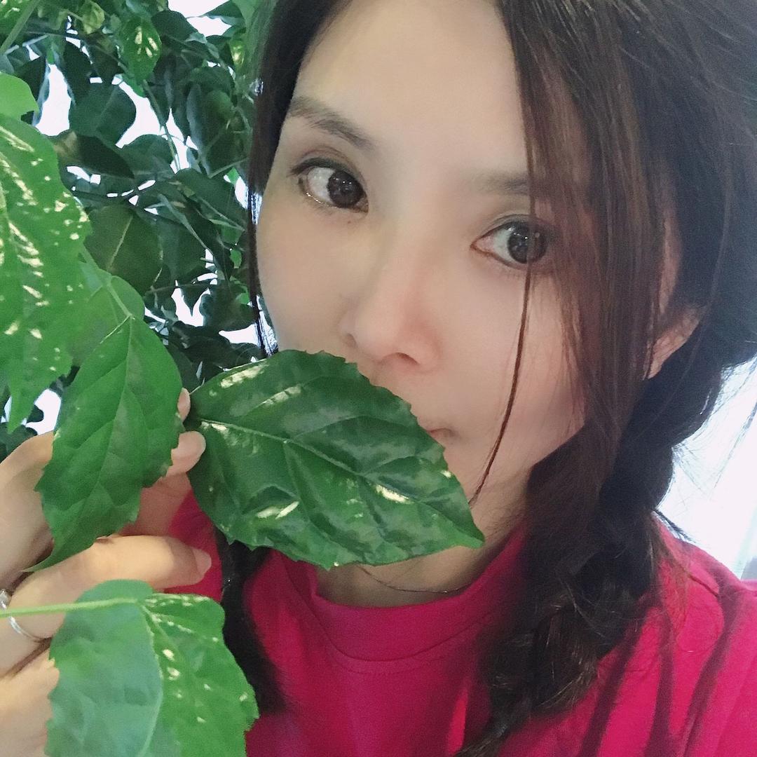 🌹木兰
