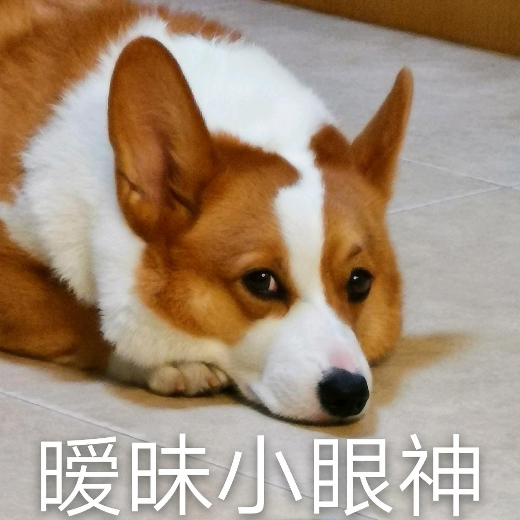 Money快来！