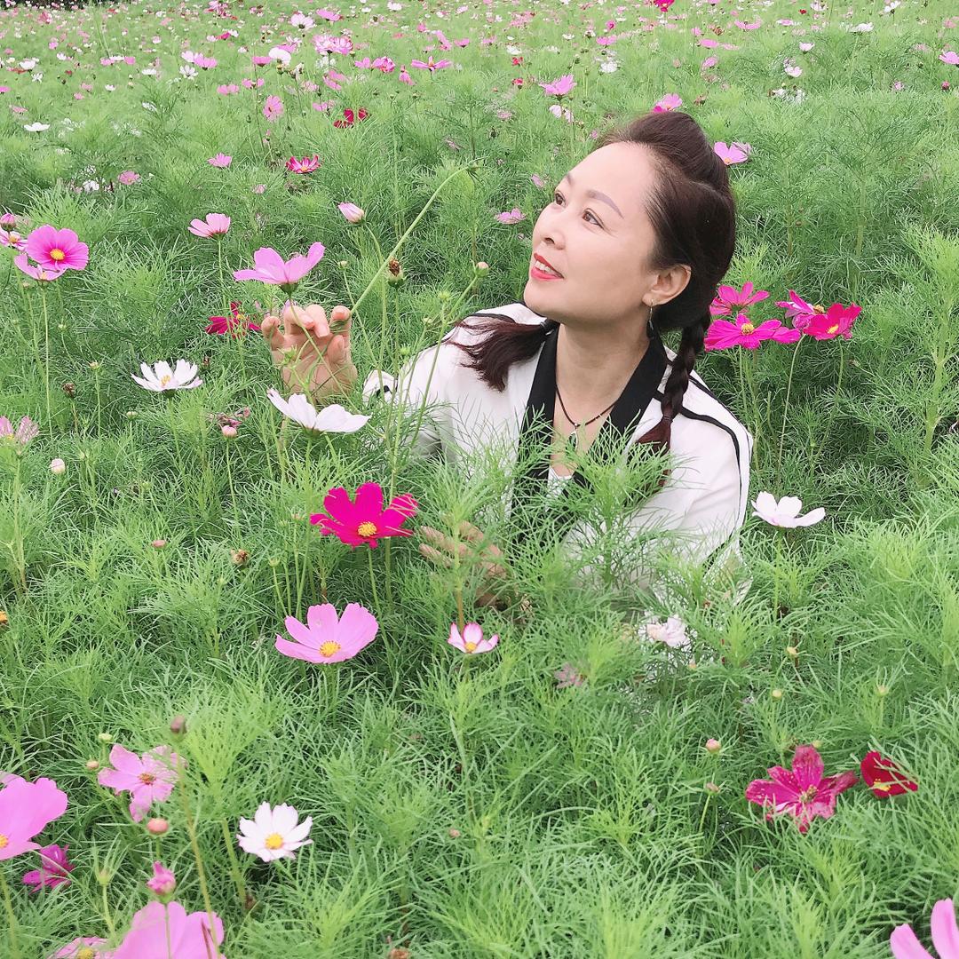 春琳