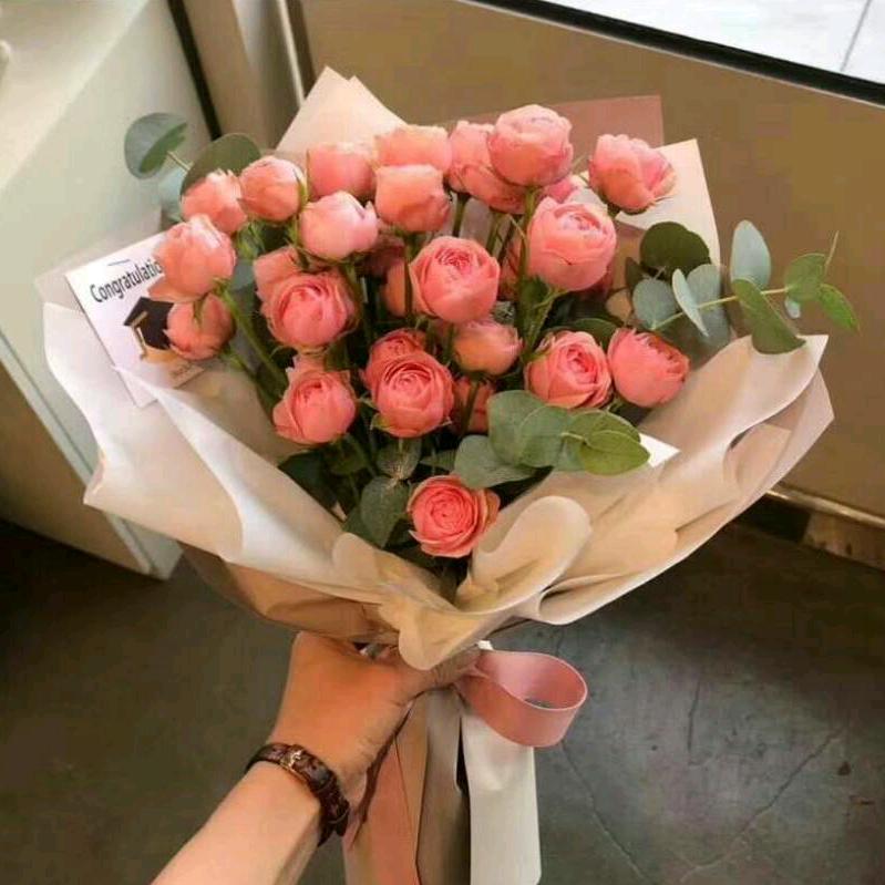 李爱芹